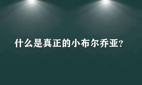什么是真正的小布尔乔亚？