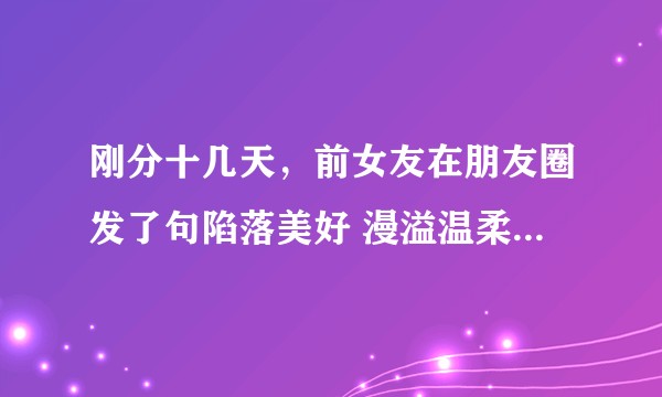 刚分十几天，前女友在朋友圈发了句陷落美好 漫溢温柔 什么意思?