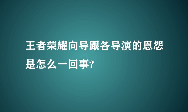 王者荣耀向导跟各导演的恩怨是怎么一回事?