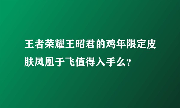 王者荣耀王昭君的鸡年限定皮肤凤凰于飞值得入手么？