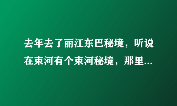 去年去了丽江东巴秘境，听说在束河有个束河秘境，那里怎么样，好玩吗？