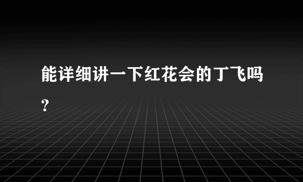 能详细讲一下红花会的丁飞吗？