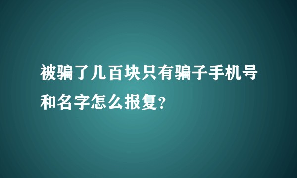 被骗了几百块只有骗子手机号和名字怎么报复？
