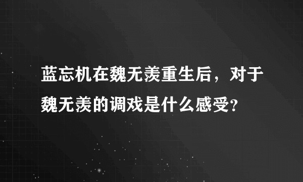 蓝忘机在魏无羡重生后，对于魏无羡的调戏是什么感受？