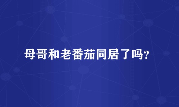 母哥和老番茄同居了吗？