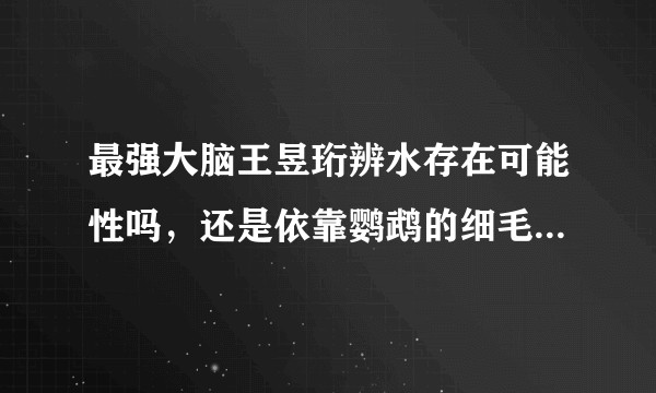 最强大脑王昱珩辨水存在可能性吗，还是依靠鹦鹉的细毛飘到水面寻找的，毕竟最后将他也没说怎么辨水的办法？