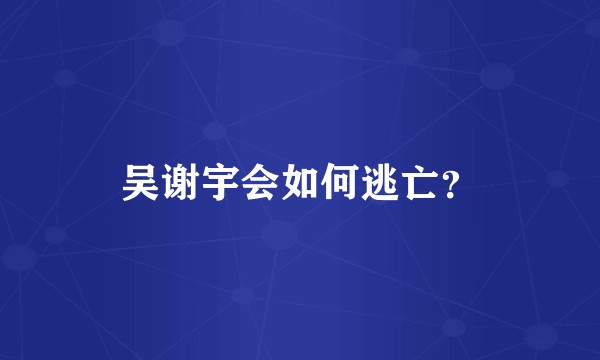 吴谢宇会如何逃亡？