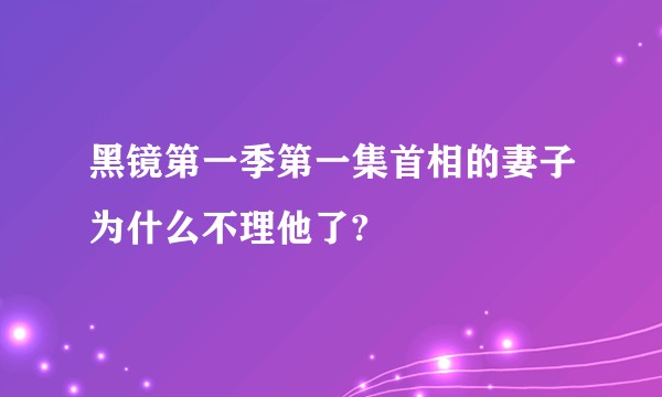 黑镜第一季第一集首相的妻子为什么不理他了?