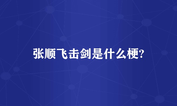 张顺飞击剑是什么梗?
