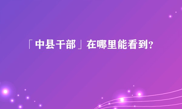 「中县干部」在哪里能看到？
