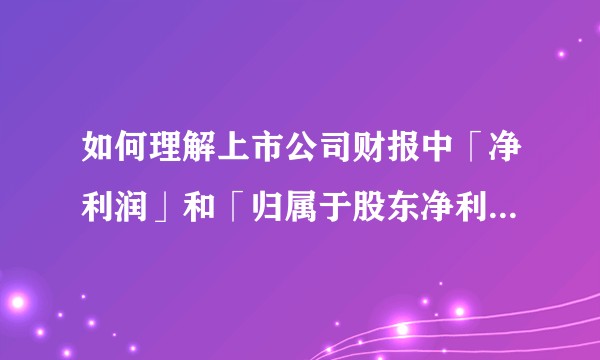 如何理解上市公司财报中「净利润」和「归属于股东净利润」这两个概念?