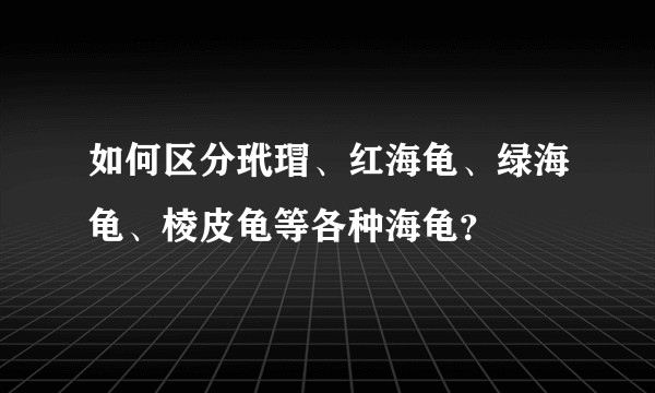 如何区分玳瑁、红海龟、绿海龟、棱皮龟等各种海龟？