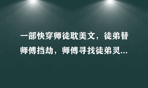 一部快穿师徒耽美文，徒弟替师傅挡劫，师傅寻找徒弟灵魂碎片的快穿耽美文，请问这部小说的名字是什么？
