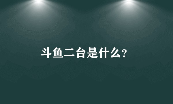 斗鱼二台是什么？