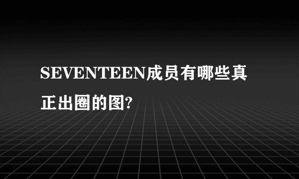 SEVENTEEN成员有哪些真正出圈的图?