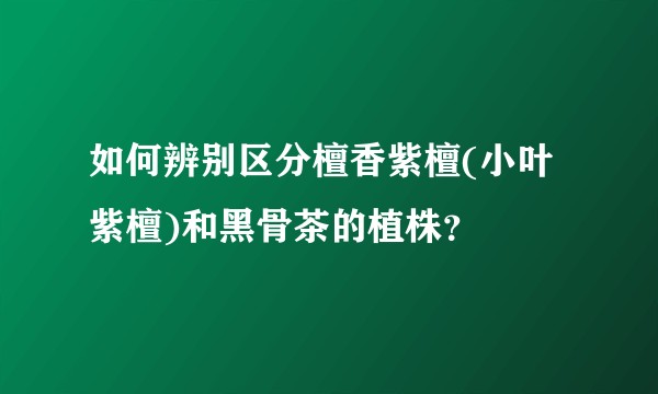 如何辨别区分檀香紫檀(小叶紫檀)和黑骨茶的植株？