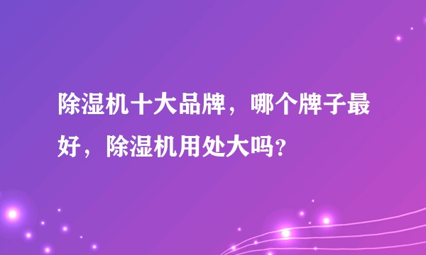 除湿机十大品牌，哪个牌子最好，除湿机用处大吗？
