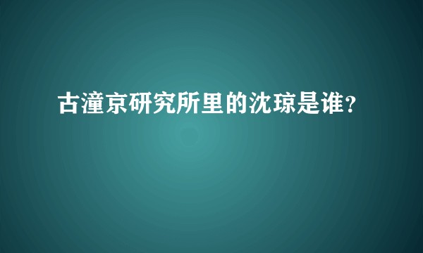 古潼京研究所里的沈琼是谁？