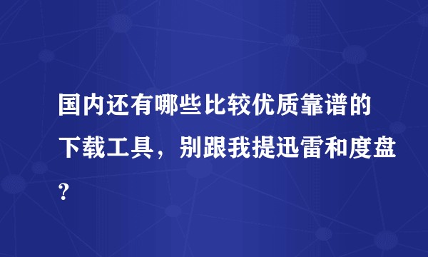 国内还有哪些比较优质靠谱的下载工具,别跟我提迅雷和度盘?