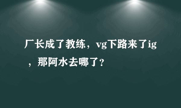 厂长成了教练,vg下路来了ig ,那阿水去哪了?