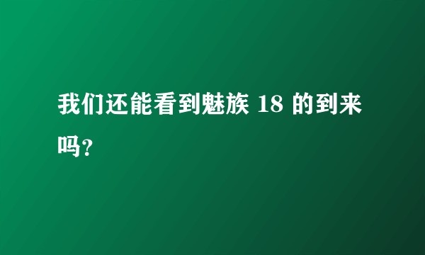 我们还能看到魅族 18 的到来吗？