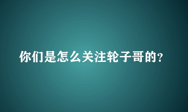 你们是怎么关注轮子哥的？