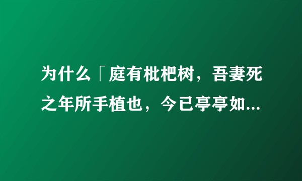 为什么「庭有枇杷树，吾妻死之年所手植也，今已亭亭如盖矣。」这句话感人？
