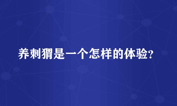 养刺猬是一个怎样的体验？
