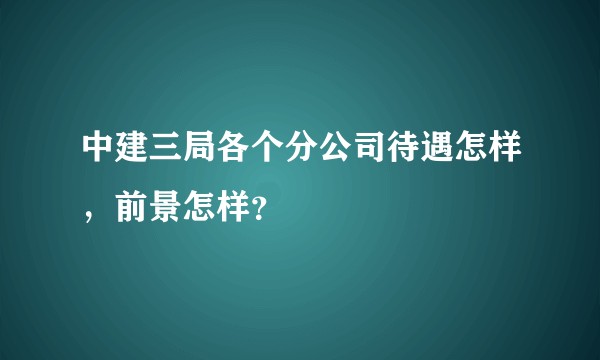 中建三局各个分公司待遇怎样,前景怎样?