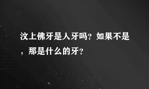 汶上佛牙是人牙吗？如果不是，那是什么的牙？