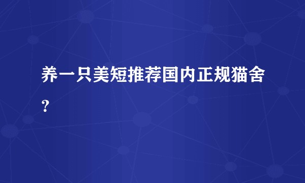 养一只美短推荐国内正规猫舍？