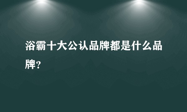 浴霸十大公认品牌都是什么品牌？