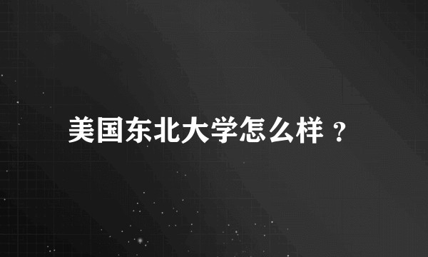 美国东北大学怎么样 ？