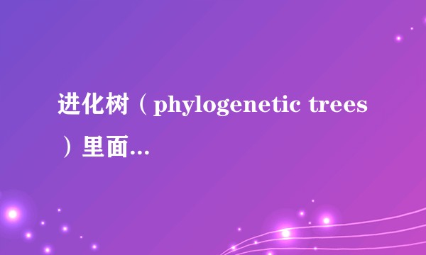 进化树（phylogenetic trees）里面每一个分支的长度代表什么？