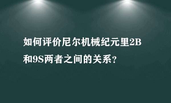 如何评价尼尔机械纪元里2B和9S两者之间的关系？