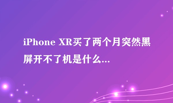 iPhone XR买了两个月突然黑屏开不了机是什么情况!!求解!!!?