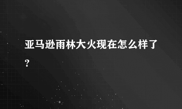 亚马逊雨林大火现在怎么样了？