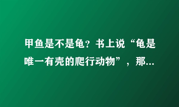 甲鱼是不是龟？书上说“龟是唯一有壳的爬行动物”，那么甲鱼呢？甲鱼与龟是什么关系？