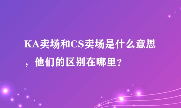 KA卖场和CS卖场是什么意思，他们的区别在哪里？
