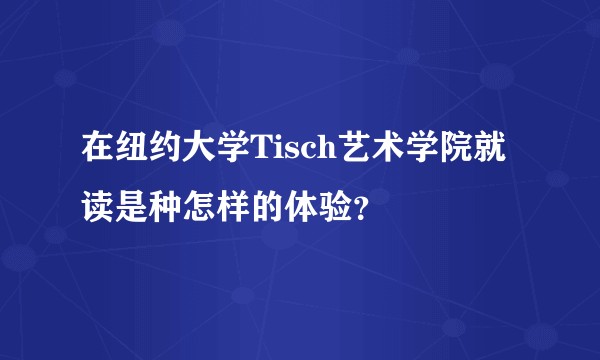 在纽约大学Tisch艺术学院就读是种怎样的体验？