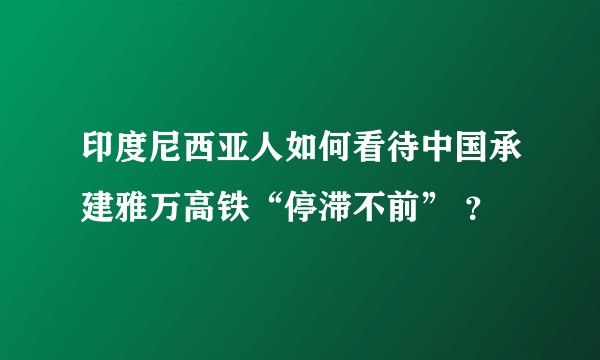 印度尼西亚人如何看待中国承建雅万高铁“停滞不前” ？