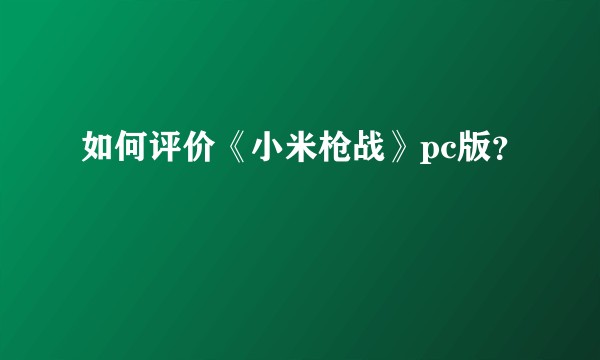如何评价《小米枪战》pc版?