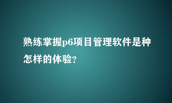 熟练掌握p6项目管理软件是种怎样的体验？