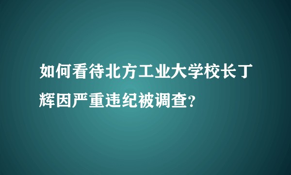 如何看待北方工业大学校长丁辉因严重违纪被调查?