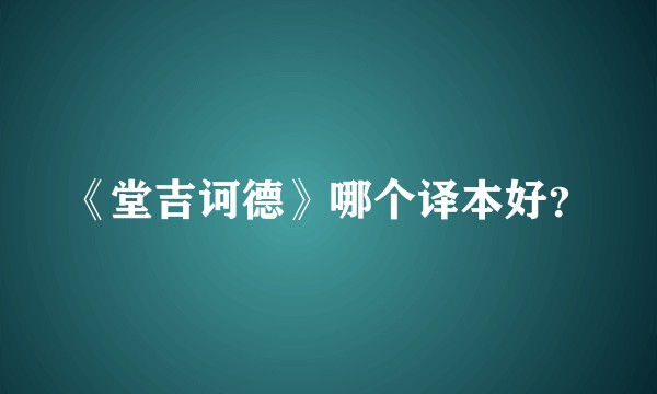 《堂吉诃德》哪个译本好？