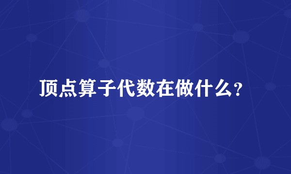 顶点算子代数在做什么？