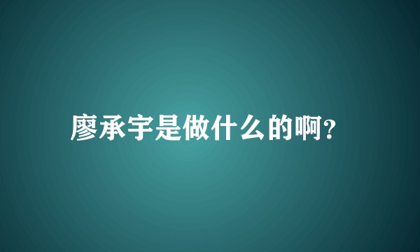 廖承宇是做什么的啊？