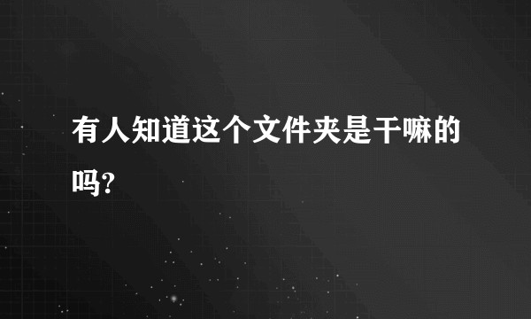 有人知道这个文件夹是干嘛的吗?
