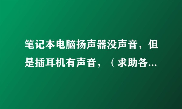 笔记本电脑扬声器没声音，但是插耳机有声音，（求助各位大佬）怎么回事？