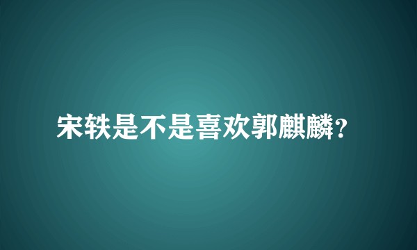 宋轶是不是喜欢郭麒麟？